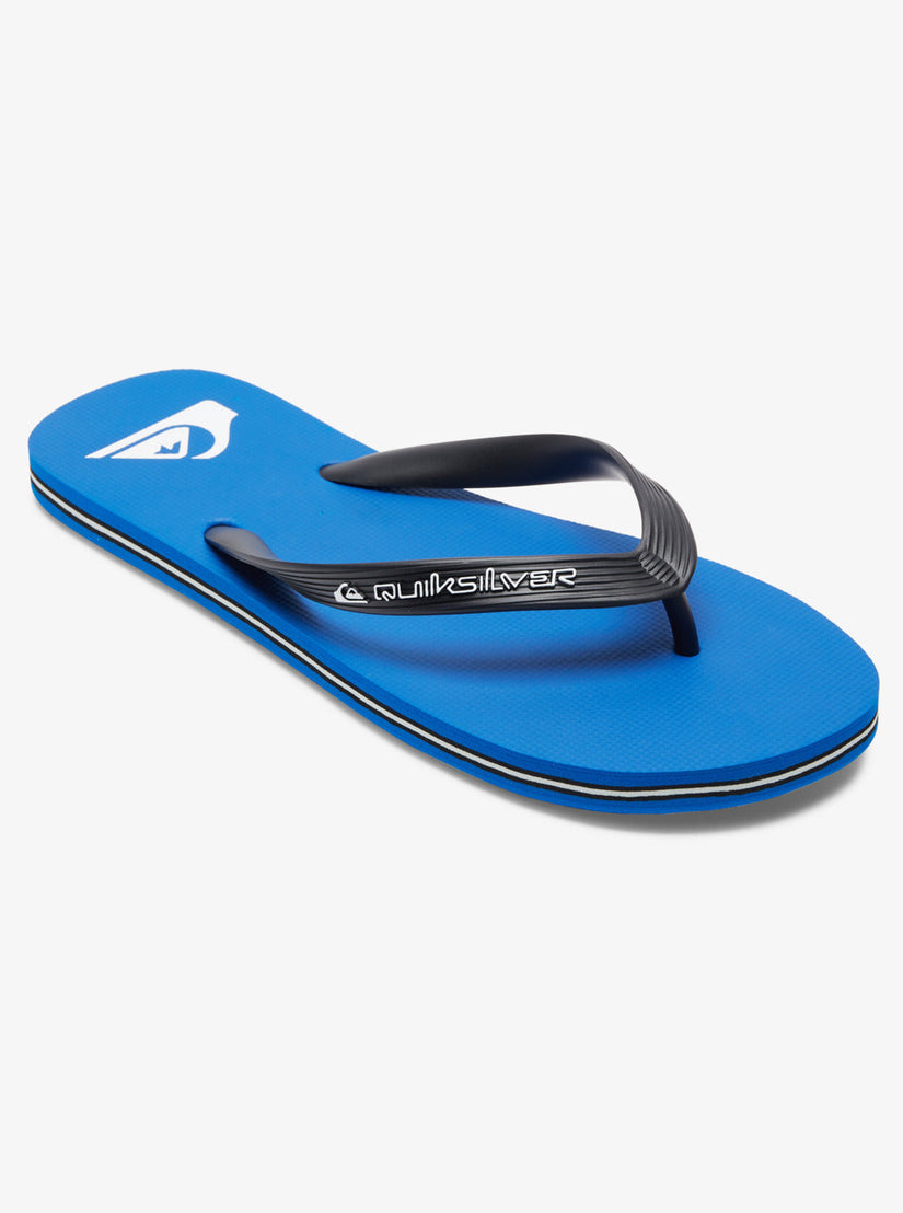 Molokai Core Flip-Flops - Blue 1
