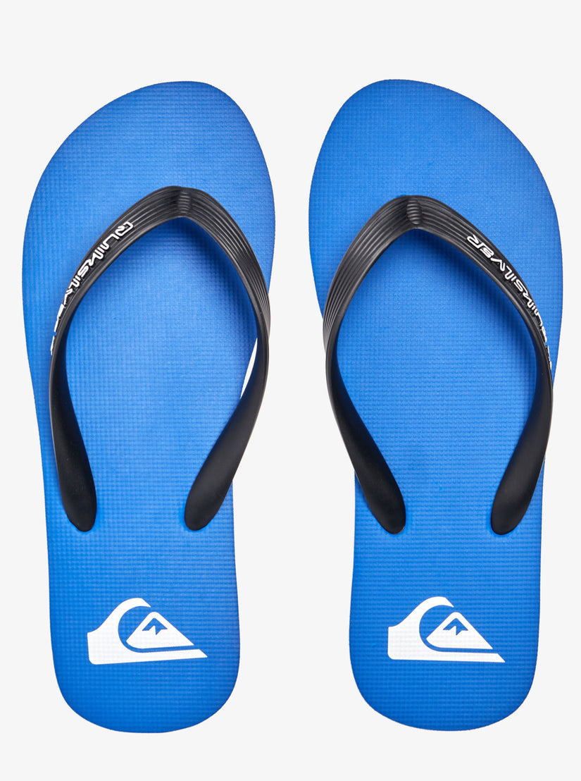 Molokai Core Flip-Flops - Blue 1